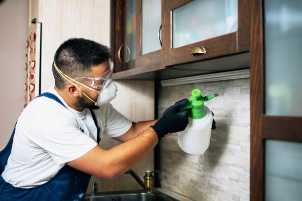 Best Pest Prevention Services  in Roseville, MN