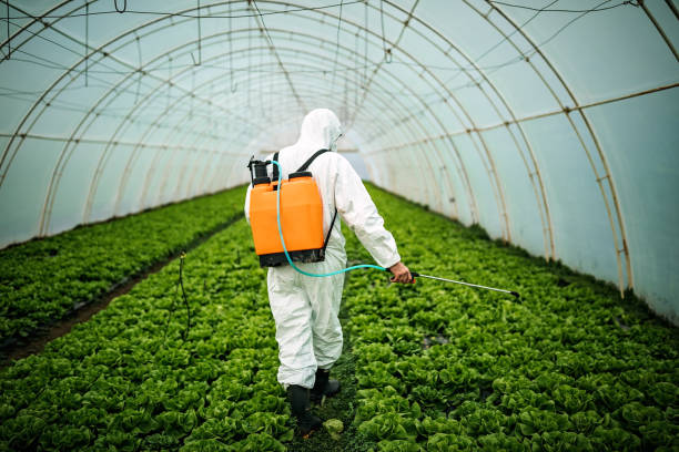 Best Pest Removal Services  in Roseville, MN