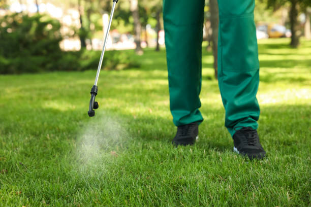 Best Cockroach Control Services  in Roseville, MN