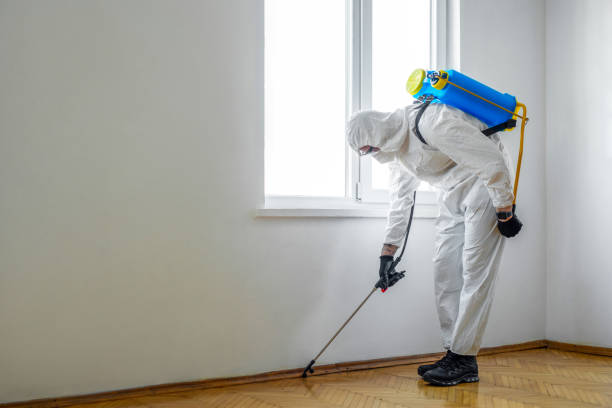 Best Best Pest Control Companies  in Roseville, MN