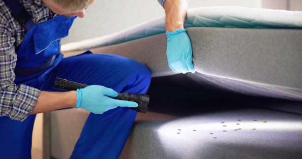 Best Pest Control for Homes  in Roseville, MN