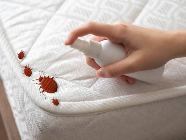 Best Pest Prevention Services  in Roseville, MN