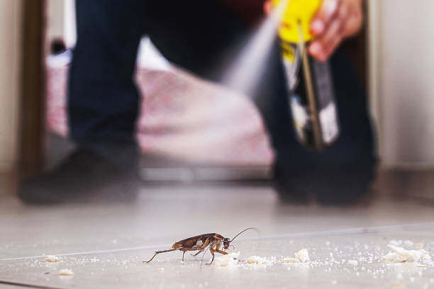 Best Cockroach Control Services  in Roseville, MN