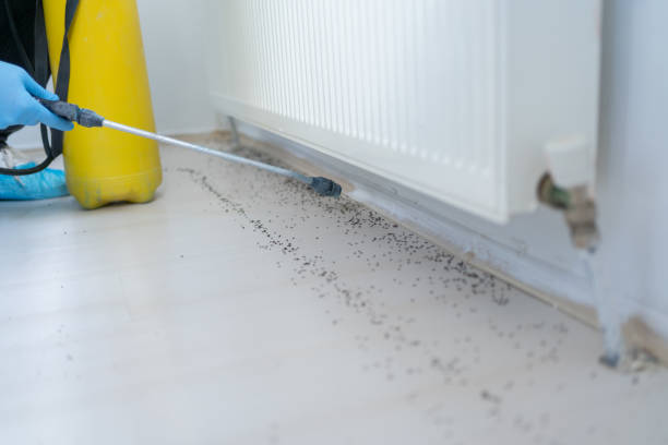 Best Best Pest Control Companies  in Roseville, MN