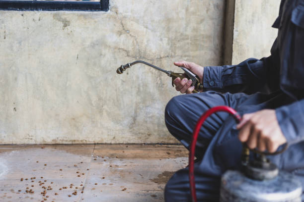 Best Pest Inspection Near Me  in Roseville, MN