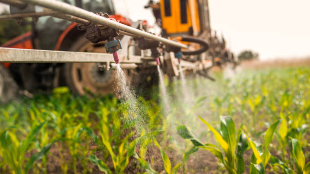 Best Ant Control Services  in Roseville, MN