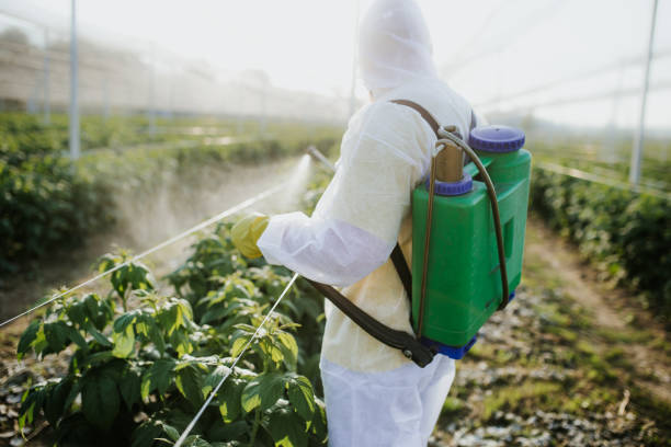 Best Ant Control Services  in Roseville, MN